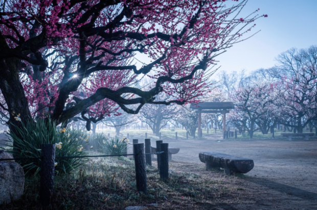 Captura-de-pantalla-2020-02-27-a-las-10.28.58-620x411.png