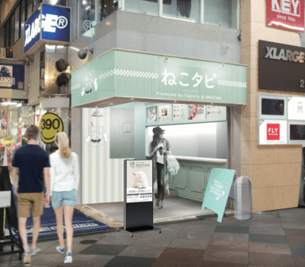 t1-1-620x543.png