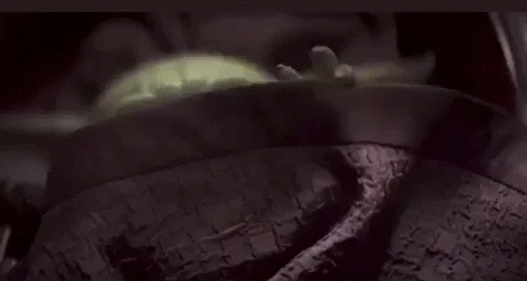 ezgif-3-1288ff2fda27.gif