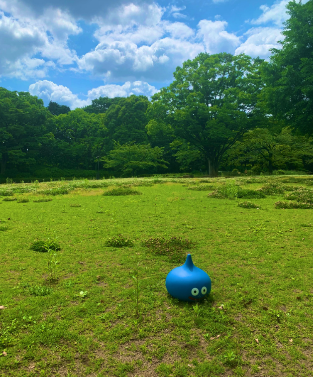 Captura-de-pantalla-2020-06-01-a-las-9.02.15.png
