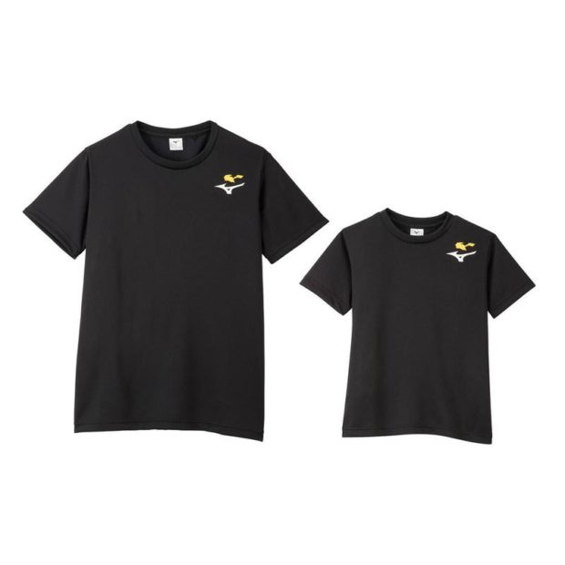 https___hypebeast.com_image_2020_08_pokemon-center-mizuno-pikachu-collaboration-collection-apparel-accessories-2-620x620.jpg