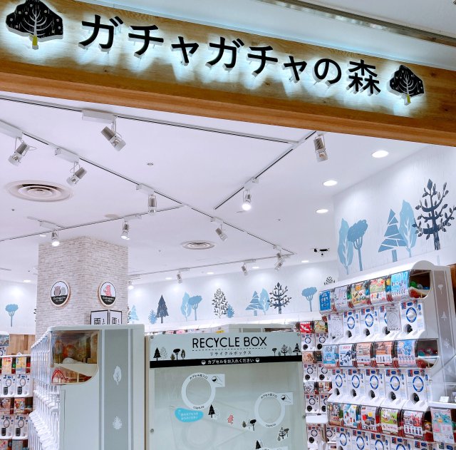 gachamori3.jpg