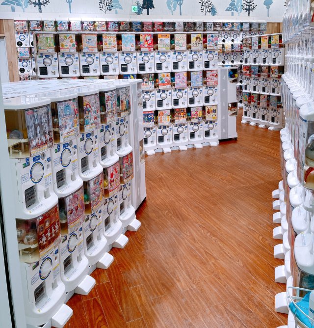 gachamori4.jpg