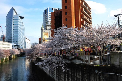 Meguro, el Barrio más exclusivo de Tokyo