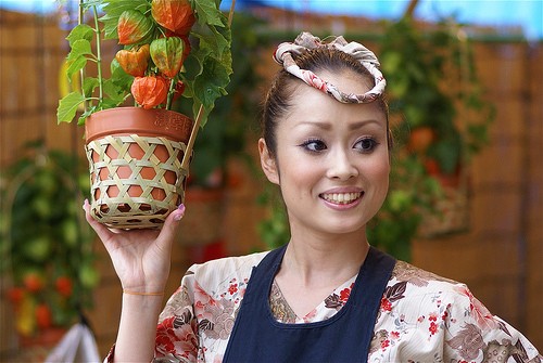 Ichi Hozuki, el festival de las flores 