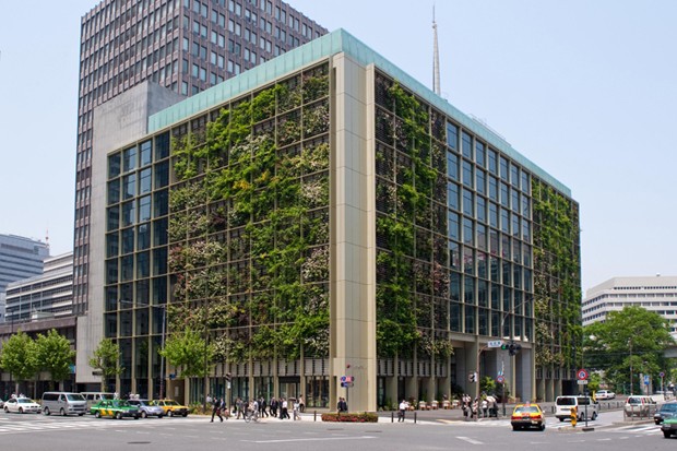 El Edificio Jungla