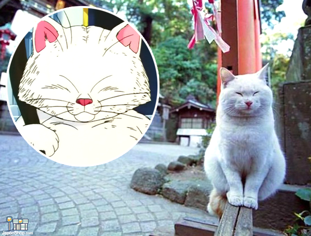El gato "Korin" de "Dragon Ball" baja a la tierra