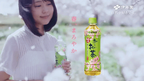 Té la bebida tradicional japonesa en Japonshop