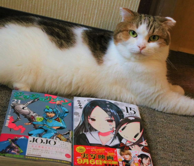 Manga-Neko cafe el COMBO definitivo
