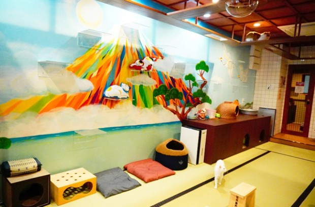 Ryokan neko cafe Tokyo mola mucho!