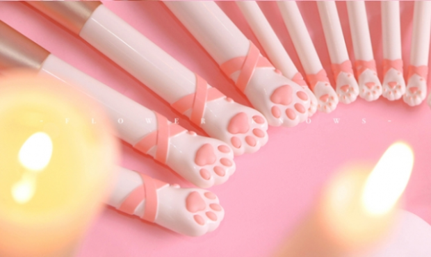 Set de  cosmética neko de VillaVanguard que lo rompe en Japón