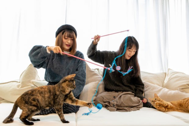 Capy Neko Cafe el primer café de Japón con nekos y una CAPIBARA!!