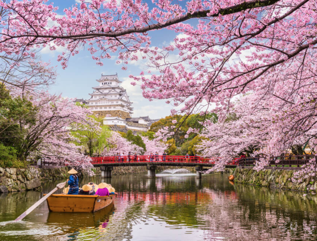 Sakura TOP 5 productos en Japonshop! Disfruta del Hanami 2020 como nunca!