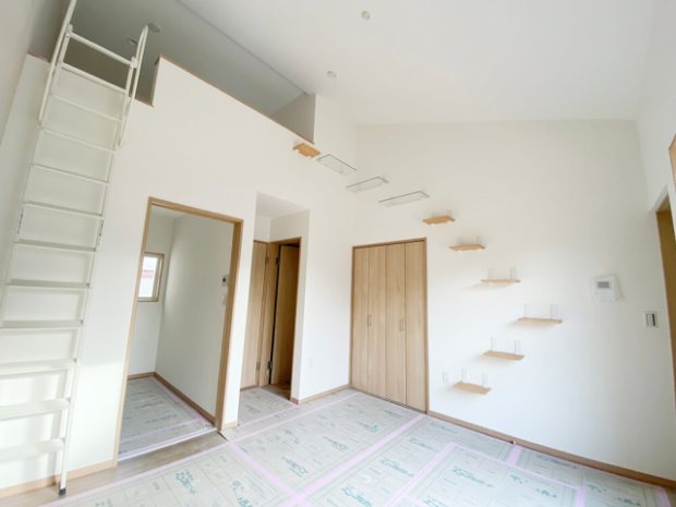 ¿Buscas casa en Japón? Si tienes nekos, agencias especiales con casas especiales!