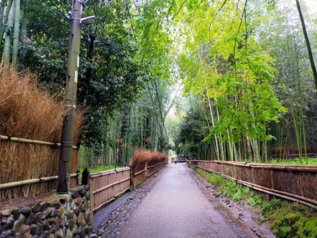 Paisajes del Coronavirus en Japón - Paseando por Kyoto