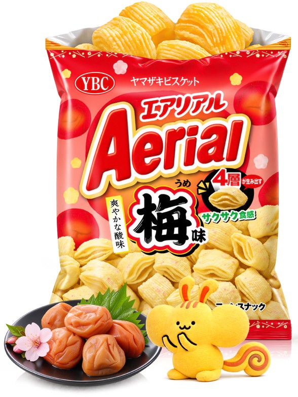 Snack Almohadillas Ciruela Ume | Aerial 65 g