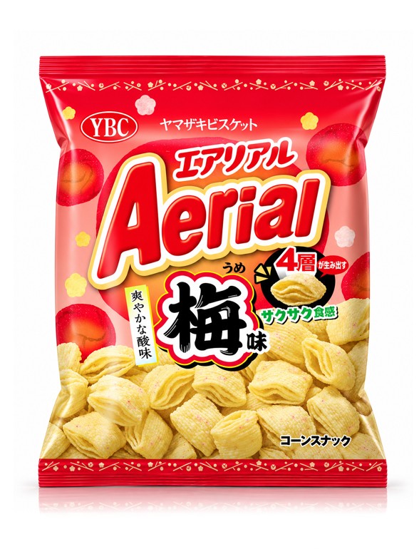 Snack Almohadillas Ciruela Ume | Aerial 65 g