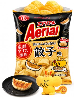 Snack Almohadillas Gyoza Frito | Aerial 65 g