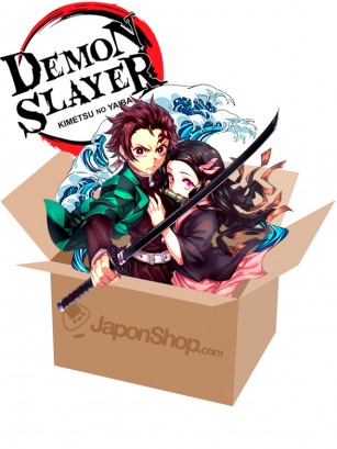 Mystery Surprise Treat Demon Slayer | Kimetsu no Yaiba & Friends