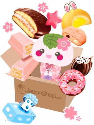 Caja Sorpresa TODO PETIT DELIS JaponShop | Gift