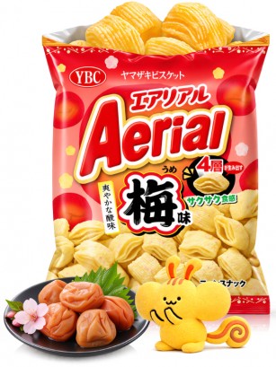 Snack Almohadillas Ciruela Ume | Aerial 65 g